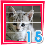 Cat 15
