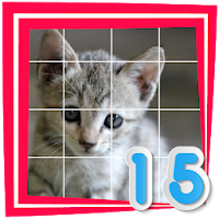 Cat 15