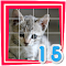 Inmagames - Game 3