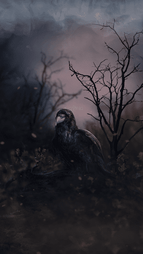 Android application Black Raven - Wallpaper screenshort