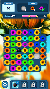 Sunflower Crush Match Blossom