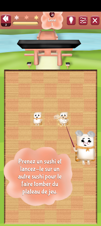 Game screenshot Puzzle game: The last sushi! apk download