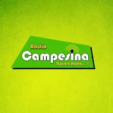 RADIO CAMPESINA CAJAMARCA icon