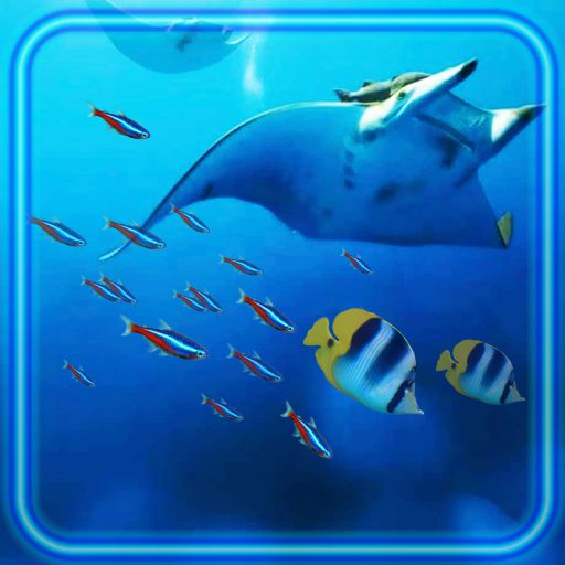 Underwater Ocean Life