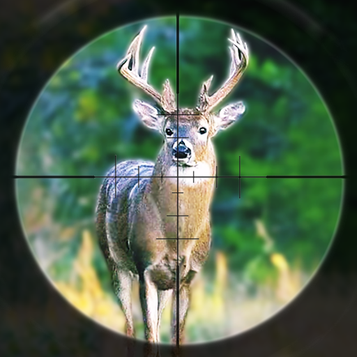 Deer Hunting Games Wild Animal 1.0 Icon