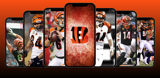 Android application Cincinnati Bengals Wallpapers screenshort