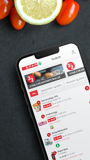 SPAR Screen 2