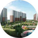 Cover Image of Download Noida – Wiki  APK