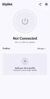 SlipTunnel VPN