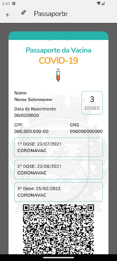 e-saudeSP Screen 3