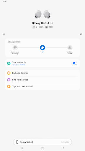 Screenshot of Galaxy Buds FE Manager