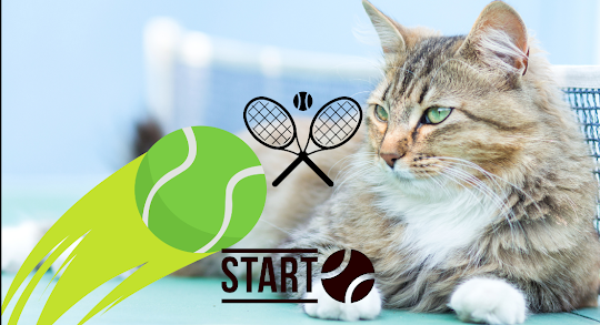 cat tennis pro Tricky Quiz