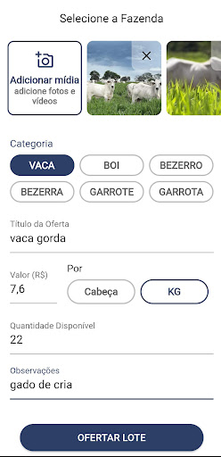 VBoi Screen 3