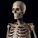 Cover Image of Baixar Guia de referência do esqueleto humano  APK