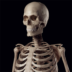 Obraz ikony: Human Skeleton Reference Guide