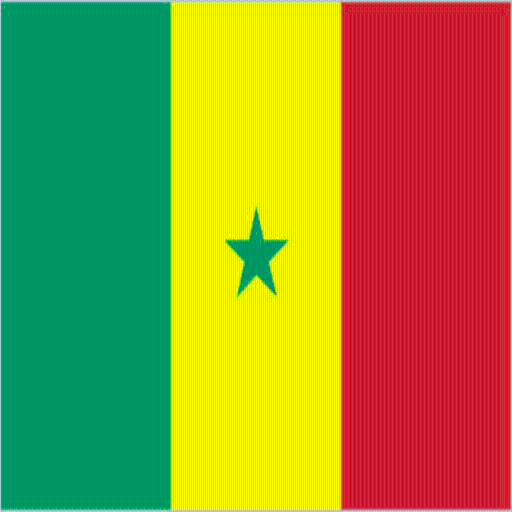 Senegal Facts  Icon