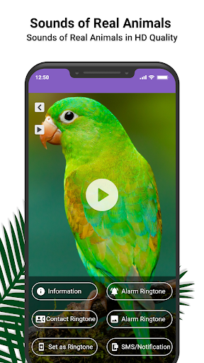 Animal Ringtones: Animal Sound Screen 3