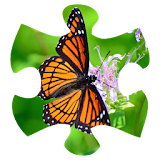 Butterfly Puzzle icon