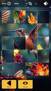 Tile Puzzle: World of Birds 2