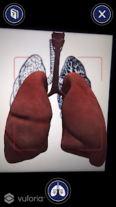 Healthy Lungs AR