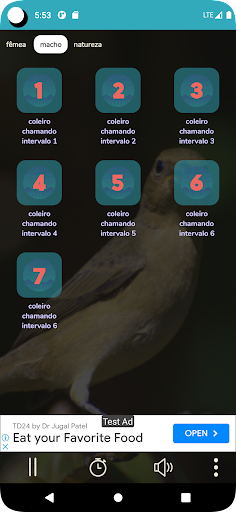 fêmea de coleiro chamando Screen 3