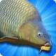 Carp Fishing Simulator - Pike, Perch & More Download on Windows
