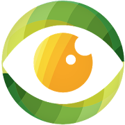 TV Foco - Notícias