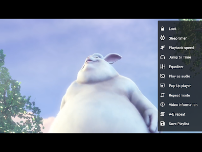 VLC for Android 3.3.4 APK screenshots 18