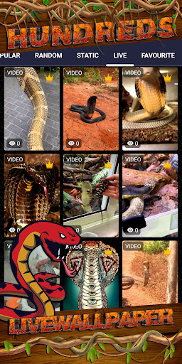 king cobra wallpaper Screen 3