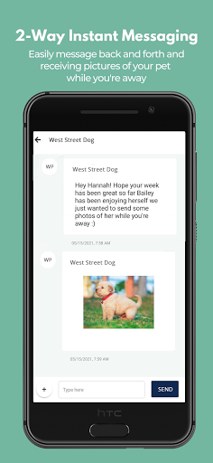 Screenshot of West St. Dog