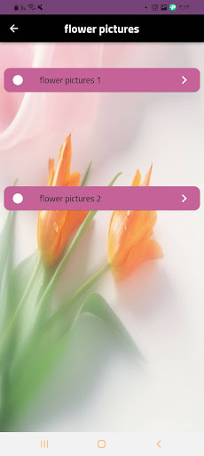 flower  florist picture