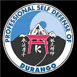 Durango Karate icon
