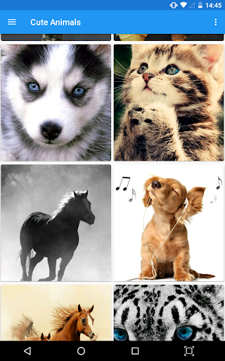 Cute Animals WP Screen 2