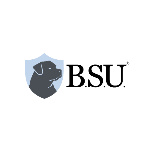 BSU Satelital logo