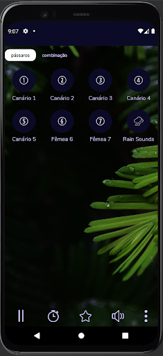 Canto Canário da Terra