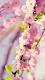 screenshot of Spring Wallpapers