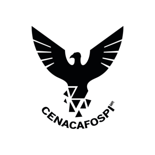 Protocolo Lugar Intervención logo