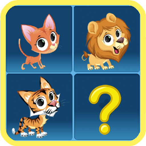 Match Pairs Memory  Games