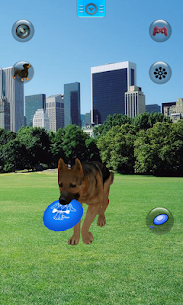 Download Talking Dogs v1.2.3 MOD APK(Unlimited money)Free For Android 4