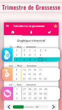 Convertir semaine de grossesse en mois
