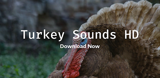 Android application Turkey Sounds HD screenshort