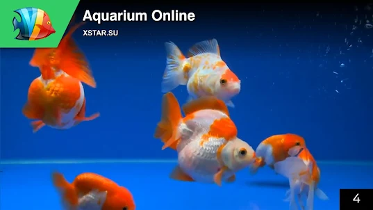 Aquarium Online
