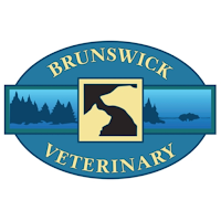 Brunswick Veterinary Clinic