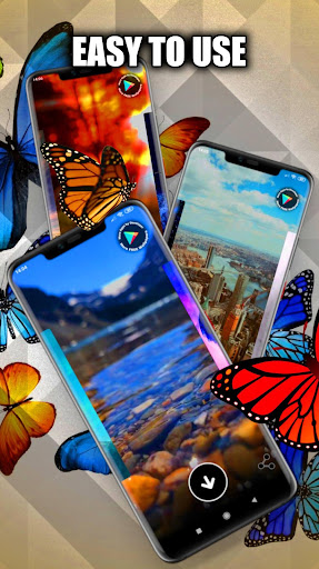 Butterflies Wallpaper Live HD Screen 2