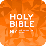 New International Version NIV icon