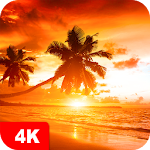 Sunset Wallpapers 4K Apk