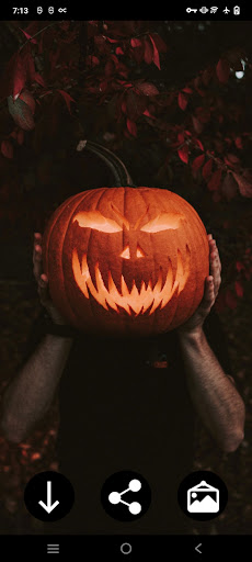 Android application Halloween Wallpapers screenshort