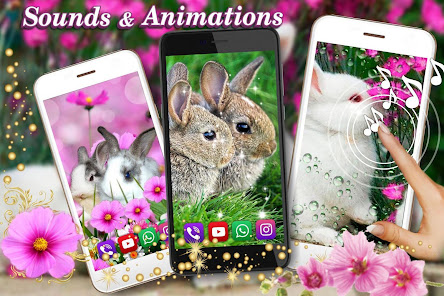Screenshot 8 Funny Bunnies Live Wallpaper android