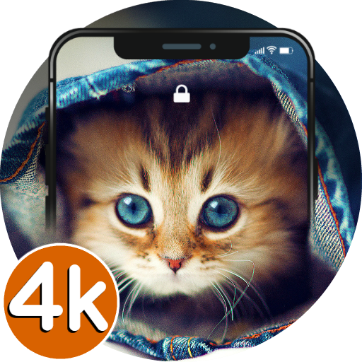 ? Cute Cat Wallpapers HD | 4K 1.0.1 Icon
