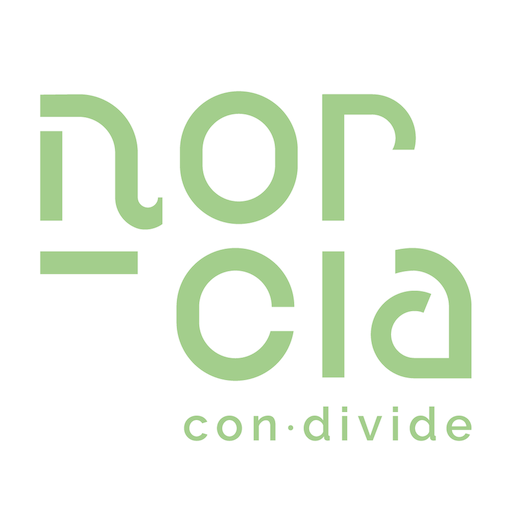 Norcia Slow Download on Windows